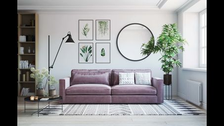 plant, picture frame, couch, property